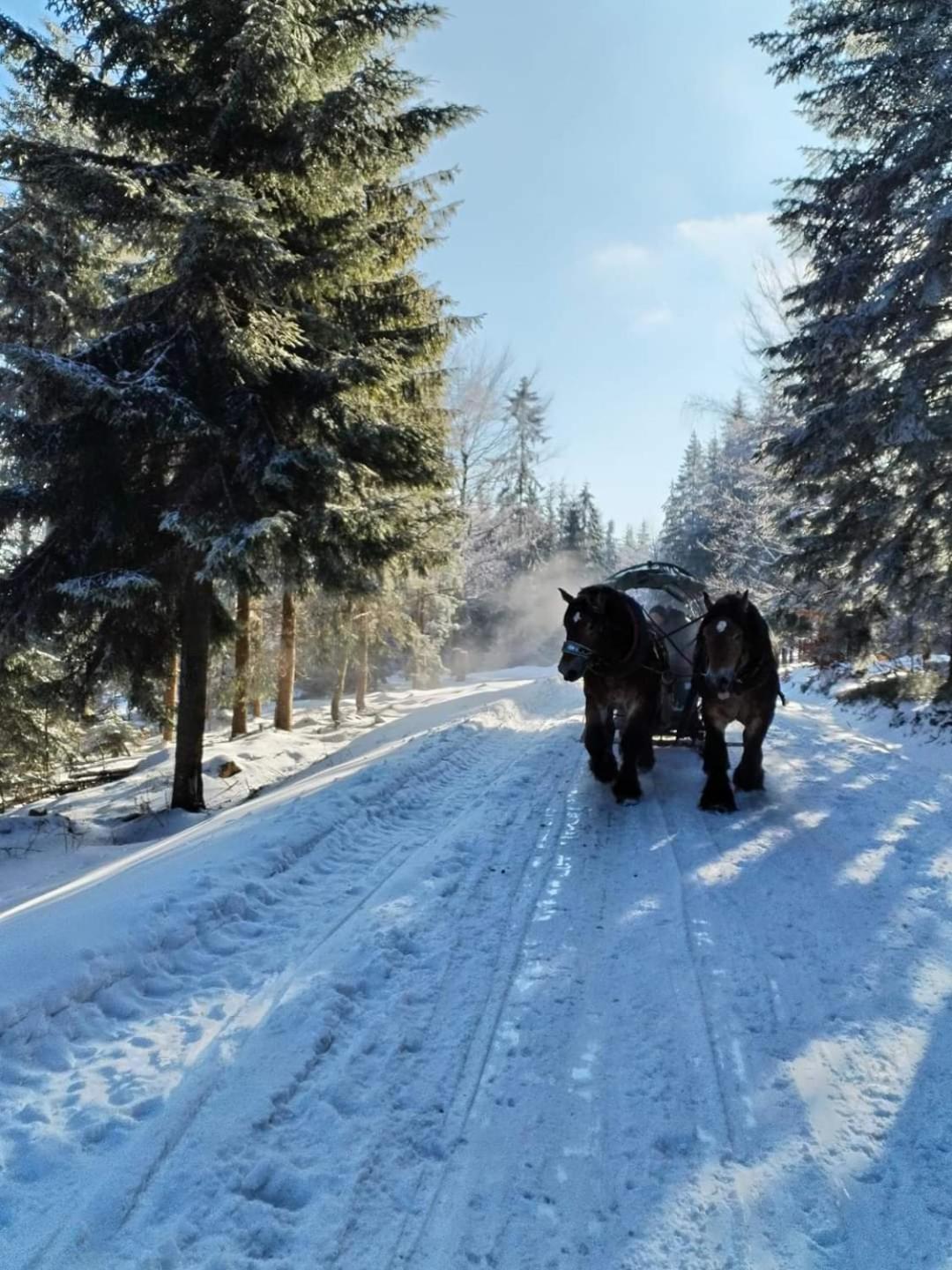 Domki 4 Pory Roku Villa Koniaków Buitenkant foto