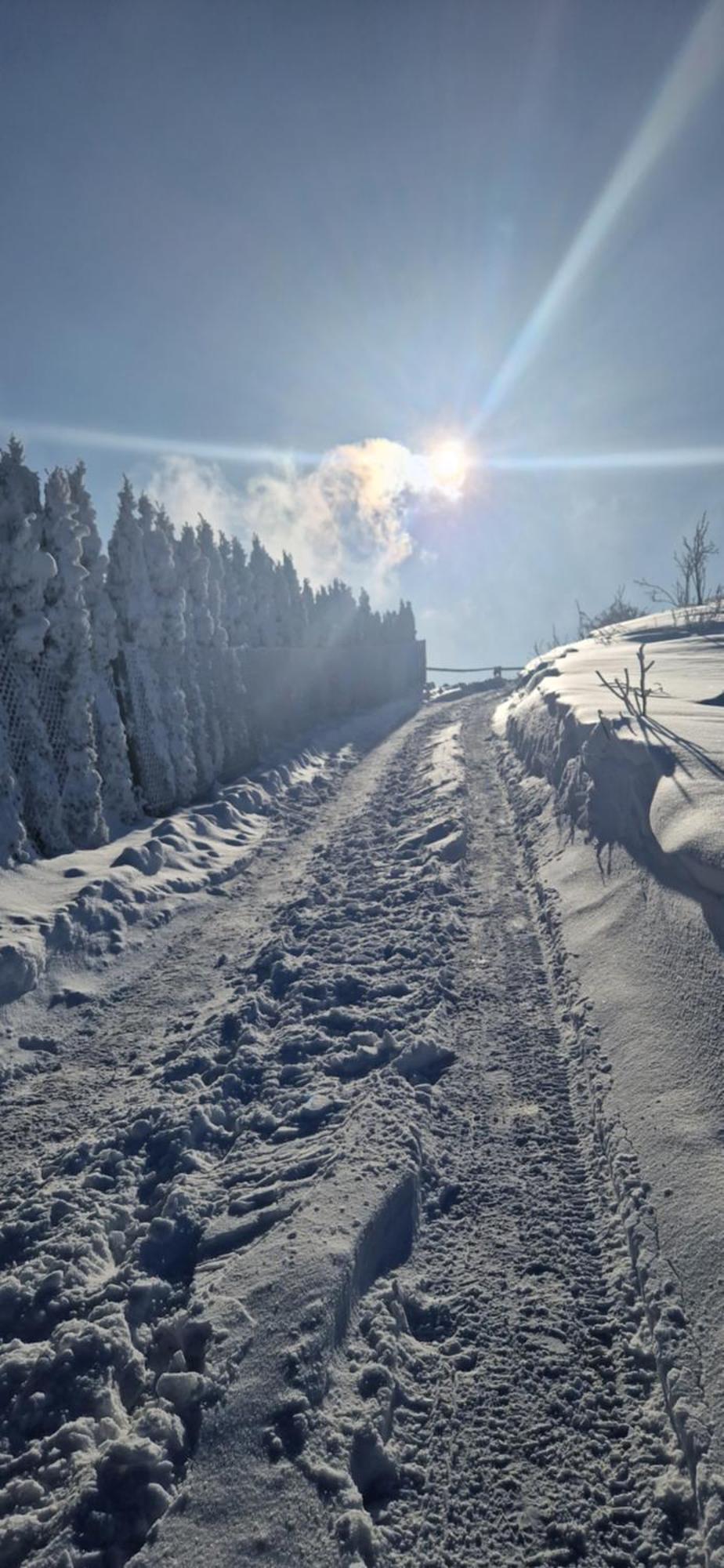 Domki 4 Pory Roku Villa Koniaków Buitenkant foto